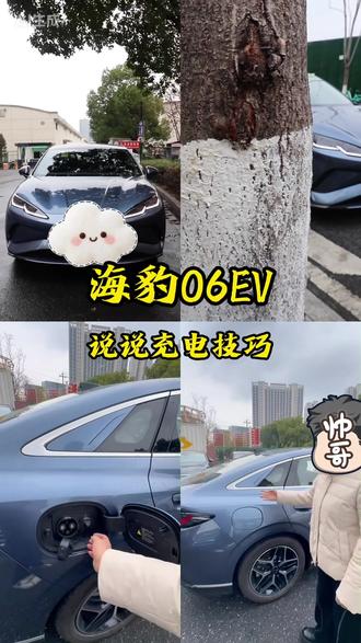 说说这车的充电技巧#比亚迪 #海豹06EV
