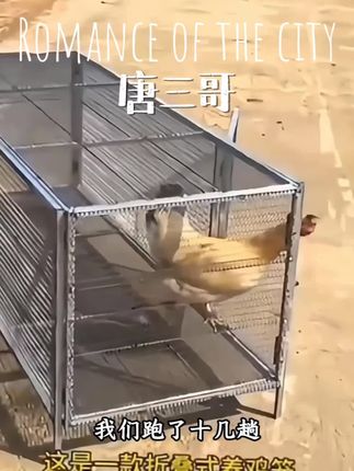 #李羲承符神颜 #李羲承直拍 #李羲承让粉丝闭眼 #李羲承的无线魅力 #穿搭分享