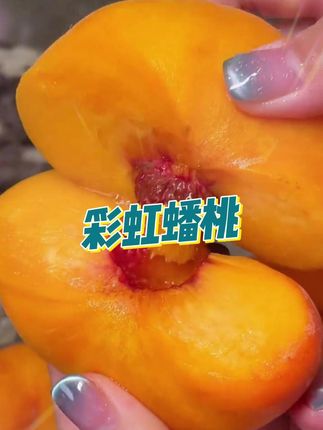 甜到心坎里的桃子果皮像自带滤镜!咬开之后直接在嘴里爆汁!又脆又甜还带着花果香!一口就沦陷了 谁懂呀#蟠桃 #新鲜采摘 #应季水果 #桃子超甜 #水果