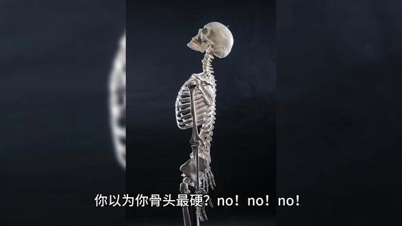 人体最坚硬的部位,不是骨头