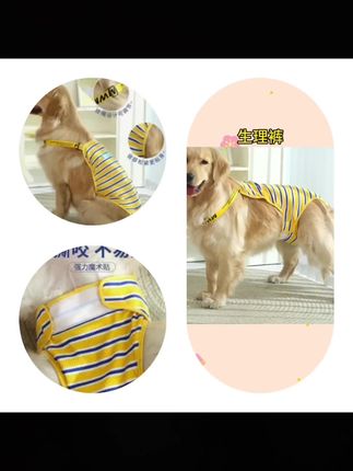 狗狗生理裤大型犬母狗拉布拉多防交配女大狗母月经内裤金毛姨妈裤#狗狗生理裤 #宠物用品 #萌宠好物