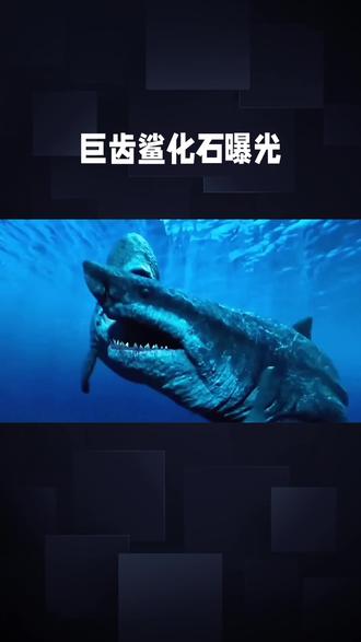 巨齿鲨:地球史上最恐怖的掠食者