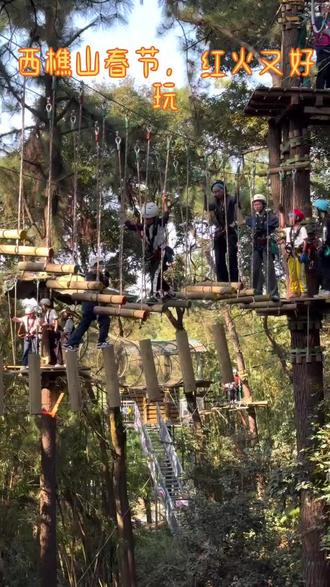 春节去哪玩?快到西樵山吧飞越树上探险乐园!8大线路等您来挑战,春节期间,年初一到初五,还有每天三场小丑魔术、川剧变脸、二