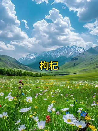 宁夏头茬中宁枸杞子250g品质头茬红枸杞泡水泡茶泡酒营养煲汤煮粥