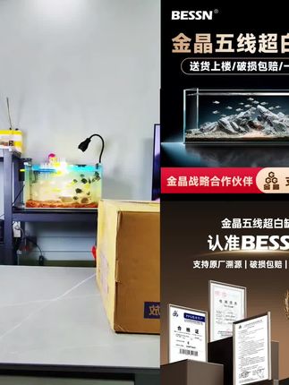 金晶超白玻璃鱼缸长方形生态鱼缸桌面小鱼缸客厅家用生态缸溪流缸