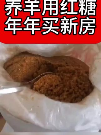 #养羊人