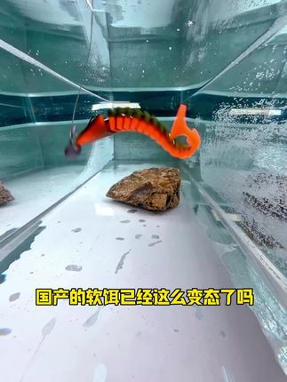 骨节鱼软饵真的太好用了!无限接近真鱼游动的泳姿啊!就用它钓了半天,鱼获感人啊!#路亚 #路亚鳜鱼 #路亚翘嘴 #钓鱼人就是这么疯狂