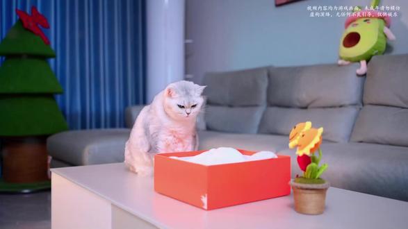 #山海经动画#动画游戏 #儿童动画 #蛋仔派对