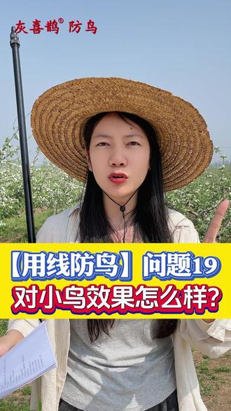 小鸟成群祸害果子,传统防鸟网漏洞多挡不住。一根线防鸟线一亩仅十元,一次铺设全年防护,一人高效轻松布设。#一根线防鸟 #驱鸟神器 #三农 #农业种植 #水果