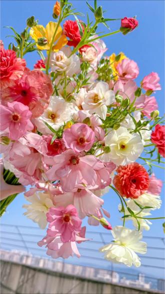 林妈妈让涵涵跟崔爽做朋友,让小林对人家好点#家庭 #亲情 #陪伴 #婆媳