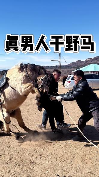 内蒙男人就得干野马!#内蒙古 #野马 #骑马 #训马 #00后
