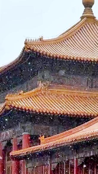 京城下雪了 用5D感知法教孩子写冬天 #西安幼升小 #西安小升初 #西安中考 #下雪了 #小学作文