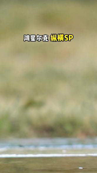 #鸿星尔克 【纵横sp】鞋面耐脏耐磨,溅到泥点、油污一擦即净,不用费劲刷鞋。中底缓震效果在线,赶地铁、爬楼梯、citywalk 都轻松#百搭鞋子 #好鞋推荐 #跑鞋推荐 #新品上新