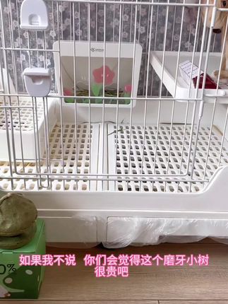 #解决磨牙问题#一个小树啃2个月