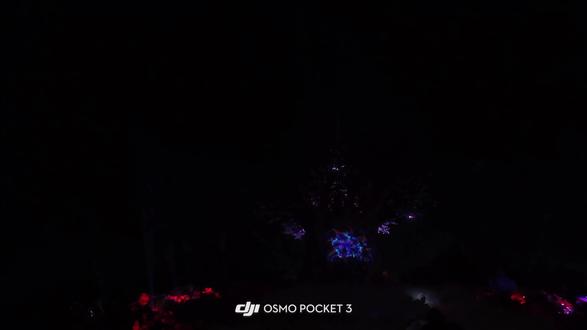 银基动物王国.生命树 📍ZhengZhou|这一刻情绪价值拉满那就在生命之树之下祝我们拥有数不尽的烟花和浪漫#银基动物王国 #生命树 #烟花秀