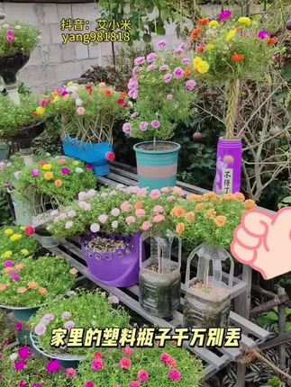 #万物皆可盘#李羲承符神颜#张予曦#旺仔小乔#赵露思
