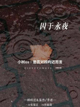 顾昀迟对小树的爱:看穿却未拆穿 #囚于永夜 #顾昀迟 #温然 #顾昀迟温然 #迟述 @DOU+小助手