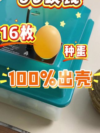 90块钱,16个种蛋,出壳率100% 90块钱,16个种蛋,出壳率100%#孵化器 #人工孵化 #三农养殖 #养殖技术