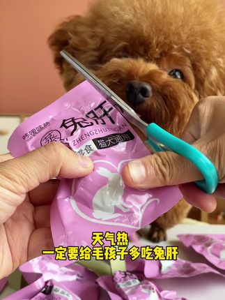 嘎嘎香的蒸煮兔肝,10包才9块9! 肉质鲜嫩紧实,营养又解馋,猫狗都超爱吃!#宠物零食
