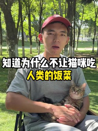 知道为什么不让猫咪吃人吃的米饭面条吗?#科学养宠攻略 #萌宠好物 #宠物知识