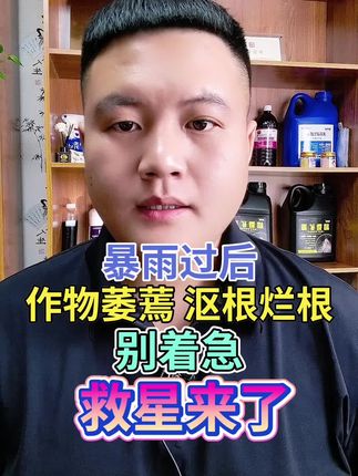 暴雨过后 作物萎蔫 沤根烂根 别着急 救星来了 #增产增收才是硬道理 #助力三农 #种植技术 #三农 #三农种植
