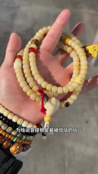 菩提根开片变色效果是真的绝,一两年就能玩开片!这东西据说做假的成本都比真的高! #菩提根 #文玩人 #文玩手串 #盘它