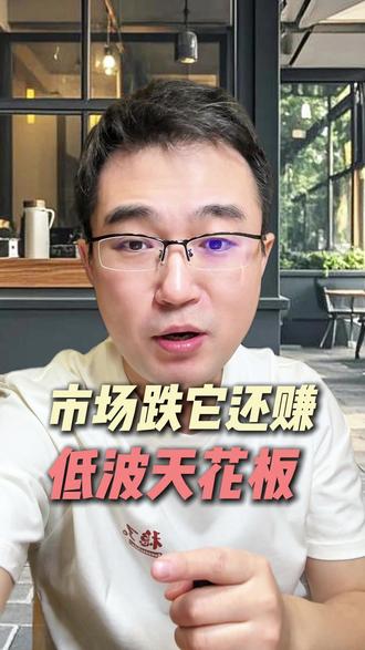 市场跌它还赚,低波天花板 #稳健理财 #资产配置 #投资思路