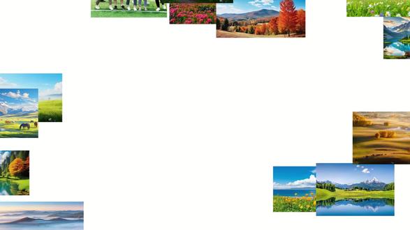 闭眼抄作业,一个字母I搞定ppt超多图排版 图片多到塞不下?别再傻傻对齐了!用字母I+文本效果组合,颜值直接翻倍,课件 / 汇报都能用。零基础也能做出精致 PPT,多图排版一步到位,收藏起来慢慢学#ppt #ppt多图排版 #ppt排版技巧 #ppt教学