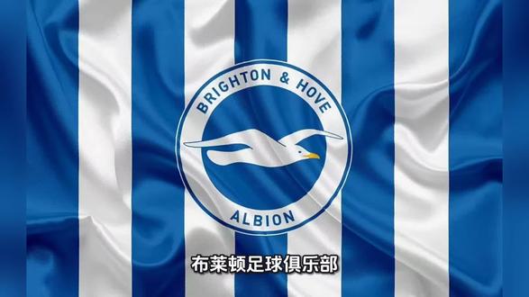 25/26赛季英超-布莱顿