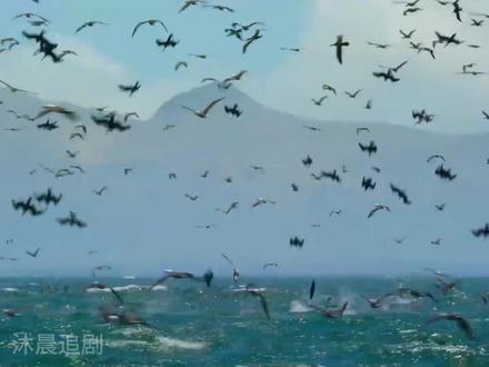 营养丰富的深海鳀鱼,靠着自己强大的繁殖能力,硬抗海洋生物的血盆大口#知识科普 #小鱼仔