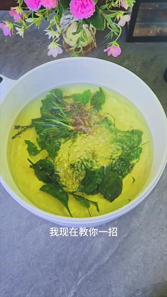 车前草加蜂蜜#每日分享#车前草#蜂蜜#食疗小妙招