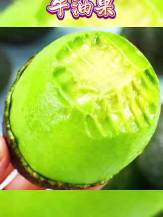 【绵密醇香】正宗云南哈斯牛油果新鲜采摘孕妇宝宝辅食当季水果#牛油果 #牛油果的最佳吃法 #牛油果去核小妙招 #牛油果好吃吗 #牛油果推荐