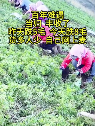 #抖音助农 #优质农产品 #当归