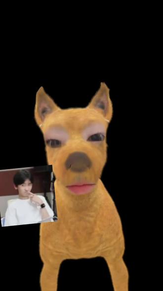 谁懂我一直在尖叫#气温#奇文#左奇函#杨博文