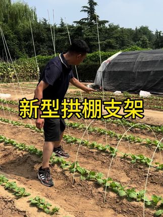 拱棚支架