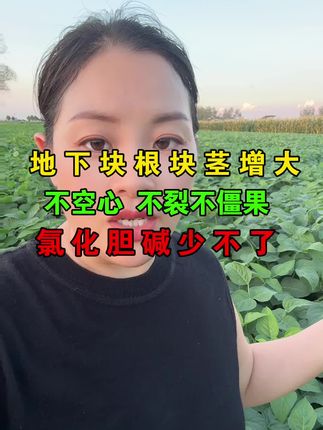 种植地下作物的老乡,想要增产增收的一定少不了这个神奇的好东西!#农业种植 #服务三农 #关注我每天分享种植知识 #膨大剂#氯化胆碱