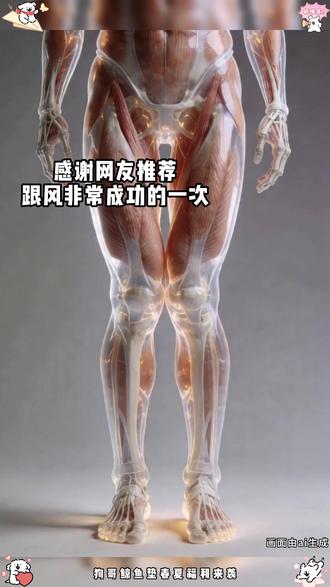 感谢网友推荐 跟风非常成功的一次 #狗哥鲸鱼垫#足弓垫#足弓训练