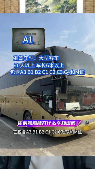 你的驾照能开什么车,你知道吗?#每天一个用车知识 #交通安全