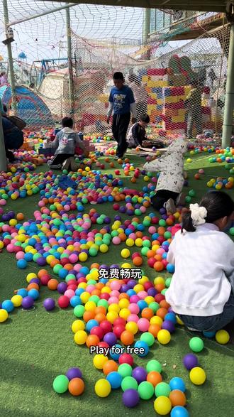 第二波预算就不是19.9了,可以多囤几张#恐龙世界 #遛娃好去处 #恐龙来了 #了解恐龙 #恐龙知识科普