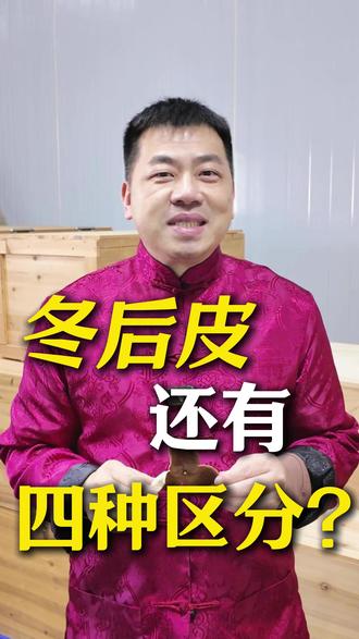 收藏冬后皮?先搞懂这 4 个区别,越陈越香 #新会陈皮 #冬后陈皮 #老陈皮 #陈皮知识分享 #新会陈皮