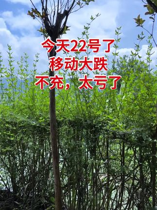 #热点 #农村 #好物推荐 #超便宜超划算 #省钱