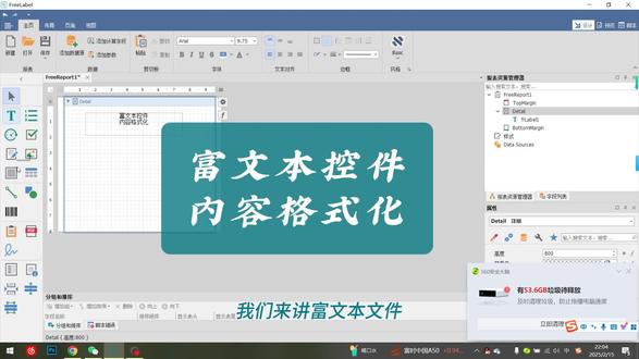 富文本控件和数据格式化 对富文本控件的一个操作以及文本控件数据内容格式化的一个简单操作介绍#标签打印 #制造业 #标签制作 #打印机 #软件开发