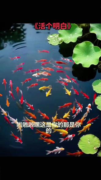 韩国歌 人生 快乐 健康