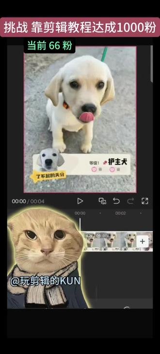 了不起天分 (洛克王国p图)简单速通版 适合新手小白#剪辑教程 #剪映视频制作 #剪映教程#洛克王国#新人剪辑@抖音媒体内容优推官