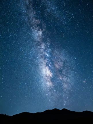 花花公子皮带男士自动扣正品高档七夕2025新款商务裤腰带#送老公的礼物 #男士腰带 #送男朋友礼物 #花花公子皮带 #腰带