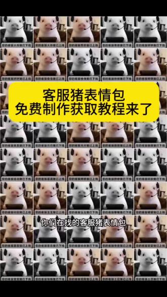 客服猪表情包免费制作教程来了 #客服猪表情包 客服猪表情包制作 #客服猪猪 客服猪表情包制作教程来了#剪映 客服猪表情包制作方法 客服猪制作可改文字 客服猪#客服 #表情包制作 客服猪表情包免费制作可改文字 客服猪猪 客服猪表情包制作