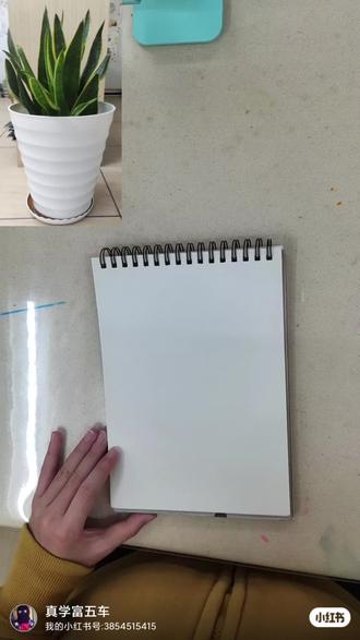 速写讲解第七期:植物虎皮兰
#一起学画画 #一起画进2023 #每日一画 #速写 #画画打卡