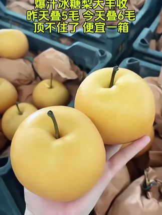 #丰水梨 #好吃不贵经济实惠 #汁水饱满 #大人孩子都爱吃 #夏天的味道