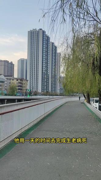 人生到底有意义吗?人还有来生吗? 人到底还有来生吗?#热点话题