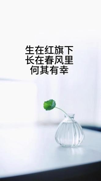 有没有人跟我一样,一个中年妇女,天天醒来就在关注美伊战争,是不是有点癫了#美伊战争 #爱我中华 #我是中国人我骄傲 @DOU+上热门